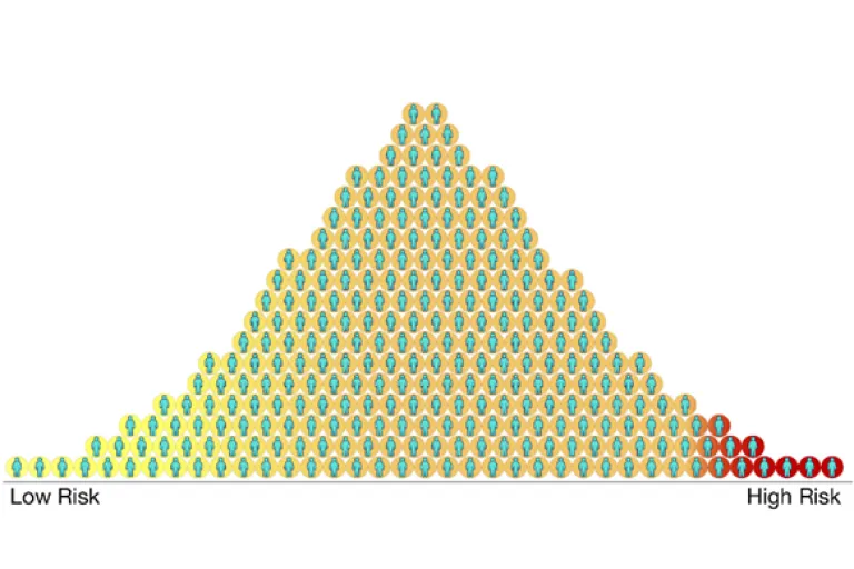 Figure 1 Representation of polygenic risk scores