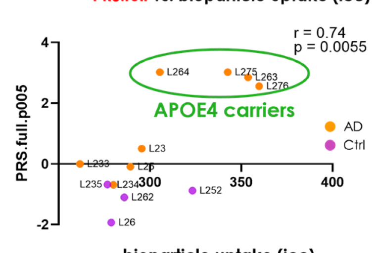 bioparticle uptake.