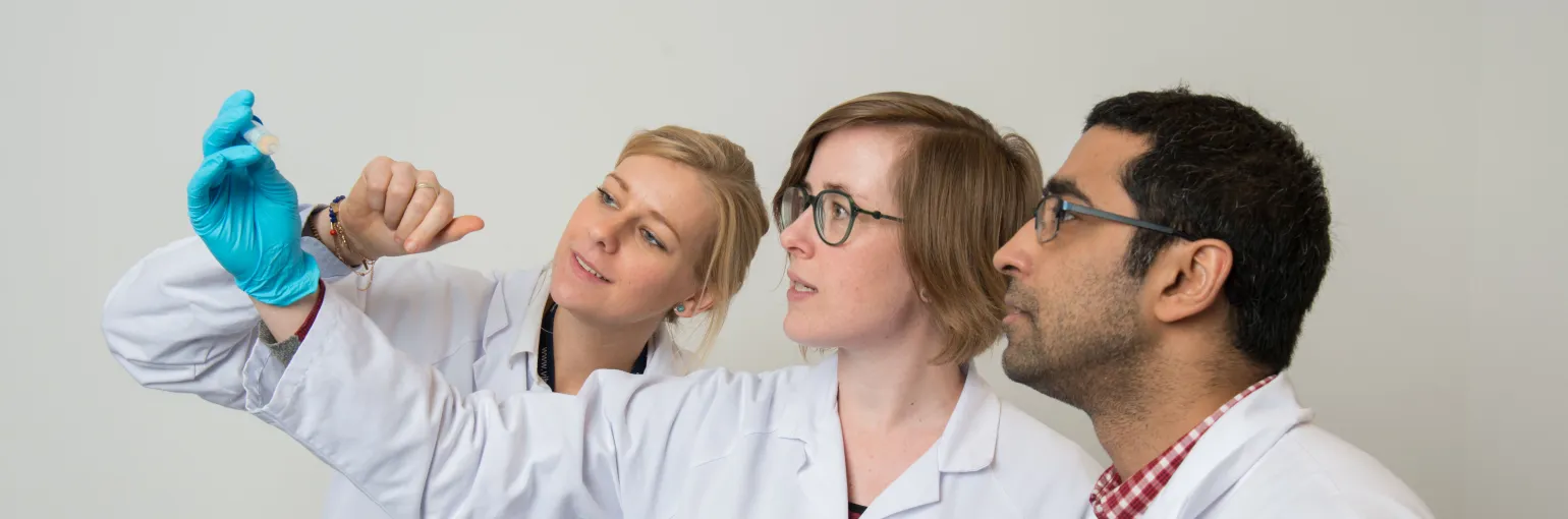 Collaborating scientists