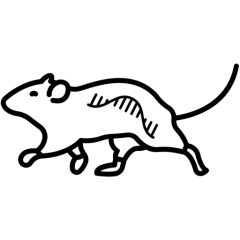 In vivo characterization